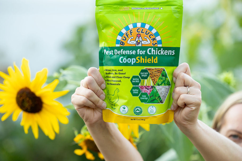 CoopShield—Herbal Pest Defense for Chickens