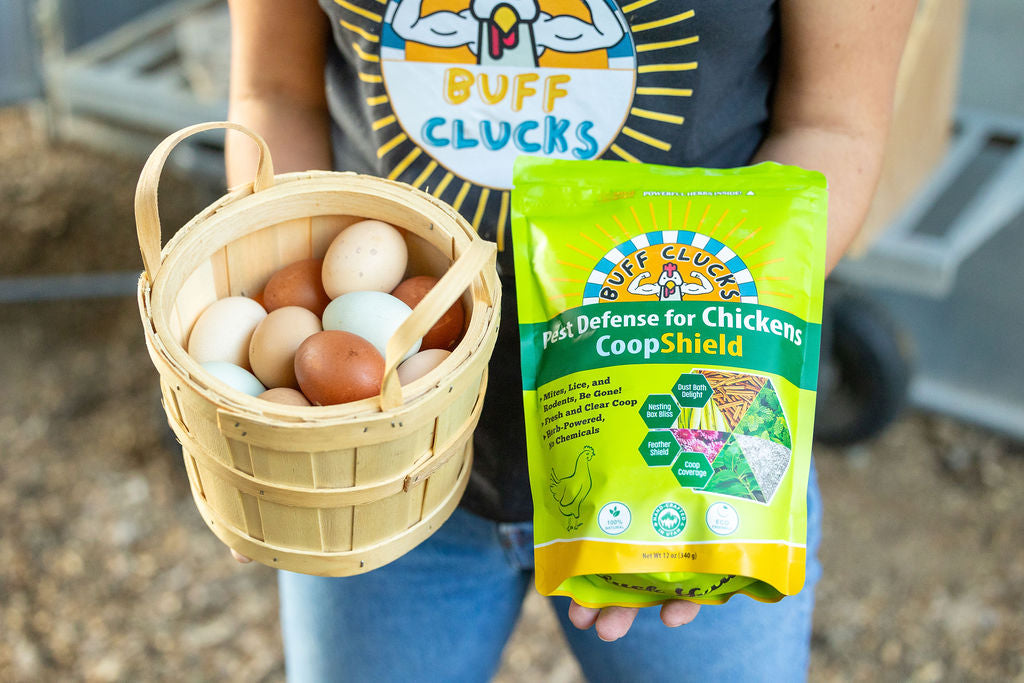 CoopShield—Herbal Pest Defense for Chickens