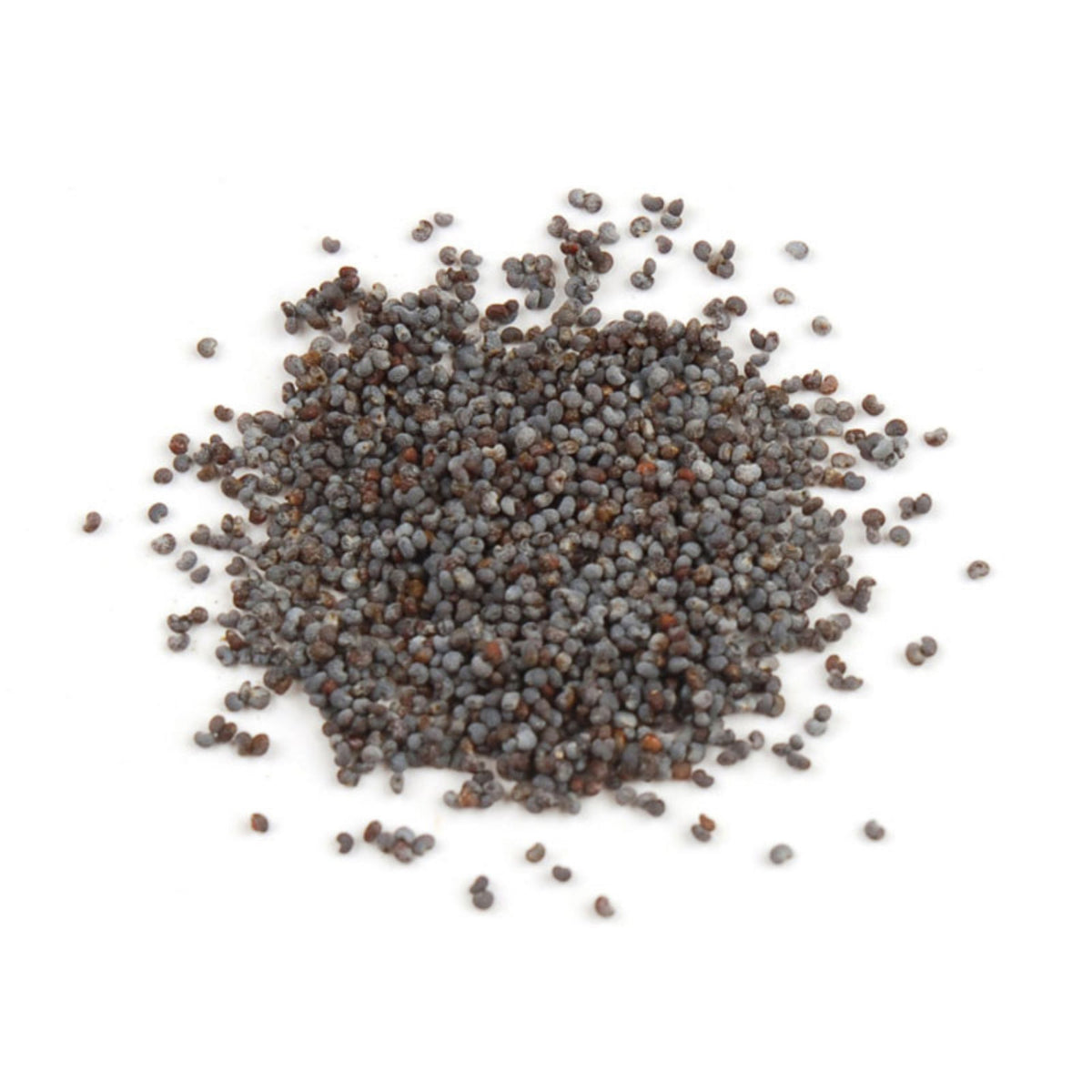 Poppy Seeds - 5 lb