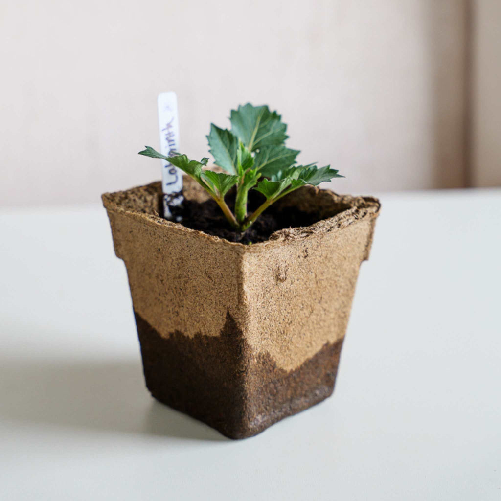 CowPots® #4 Square