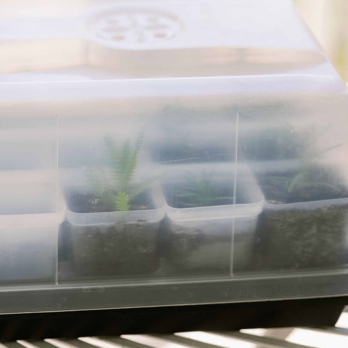 Propagation Kit | For Cuttings, Seedlings and More