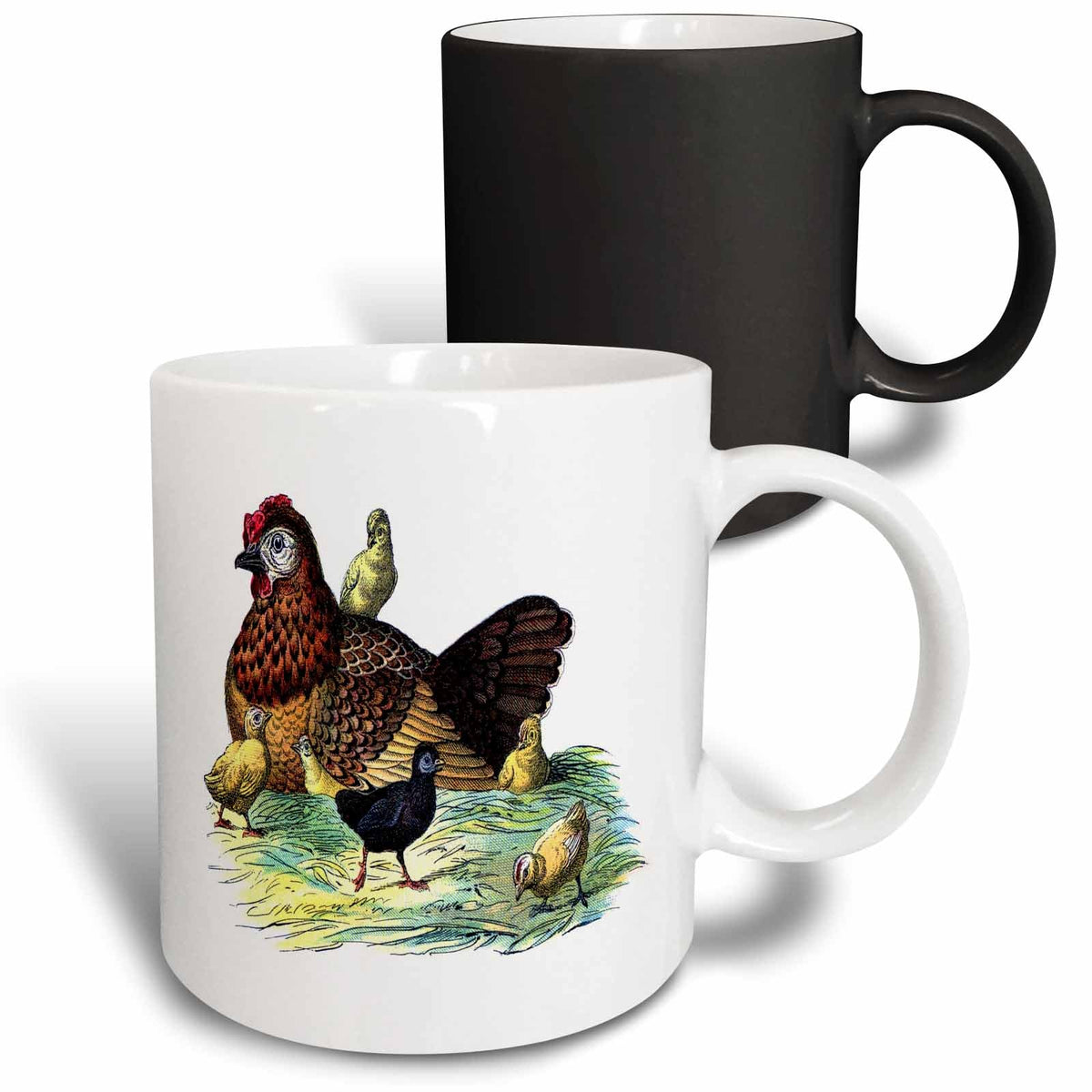 3dRose Florene Vintage - Chickens n Hen Vintage Print - Mugs (mug_52334)
