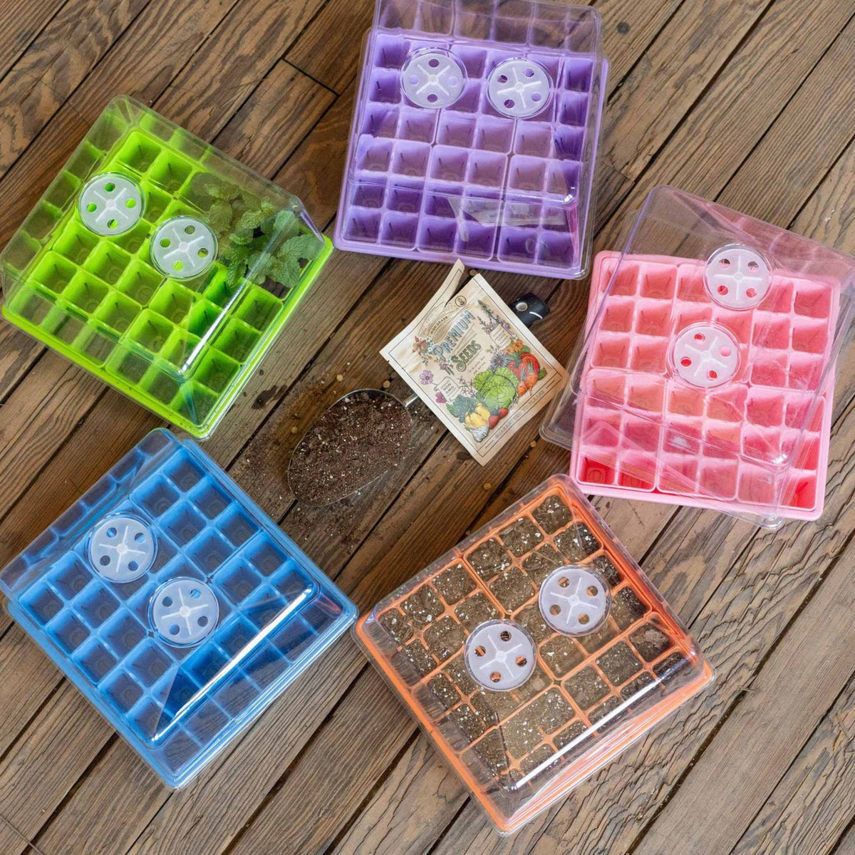 Seed Starting Workshop Bundle