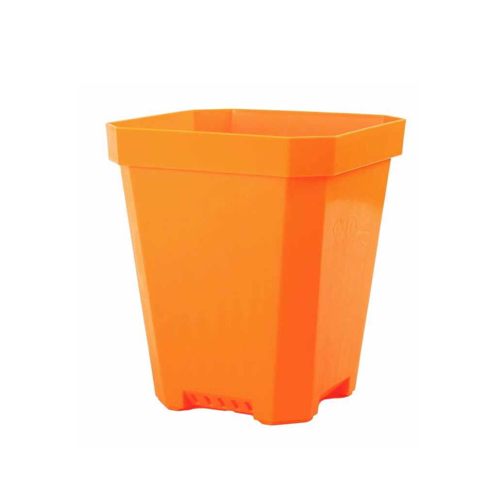 5" Nursery Pots with Insert Tray