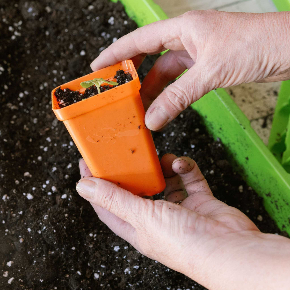 Seed Starter Pots - 2.5" Extra Strength