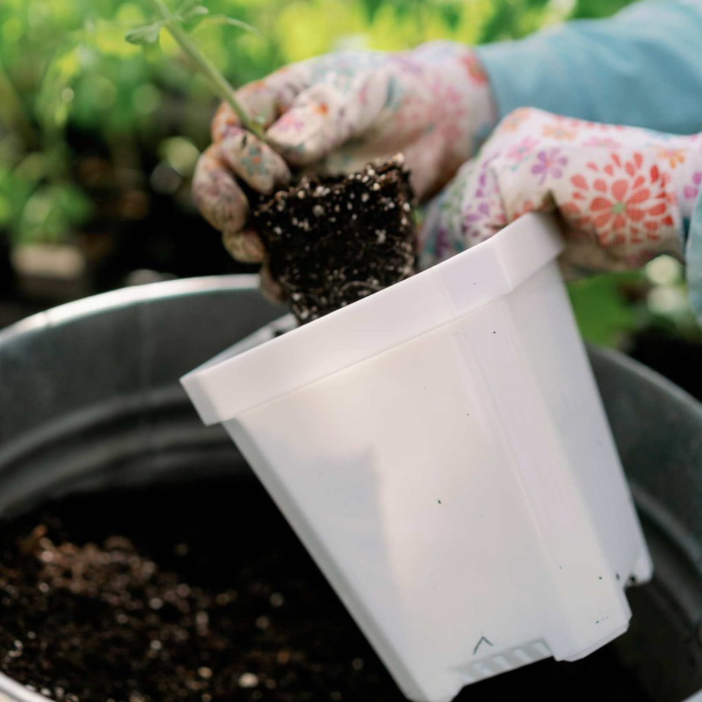 5" Nursery Pots with Insert Tray