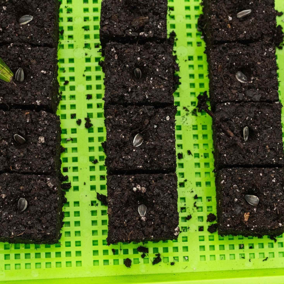Soil Blocking Starter Kit