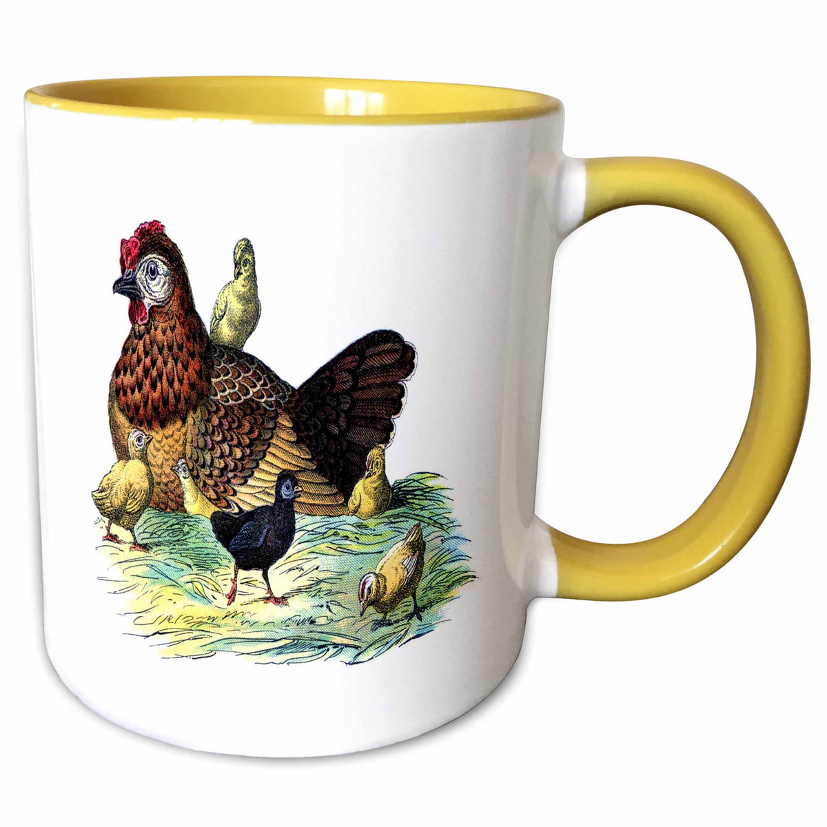 3dRose Florene Vintage - Chickens n Hen Vintage Print - Mugs (mug_52334)