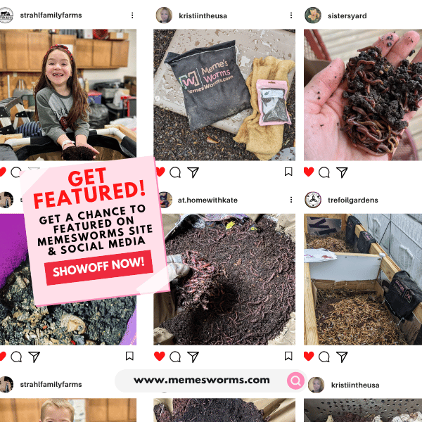 Mushroom Compost (SC)