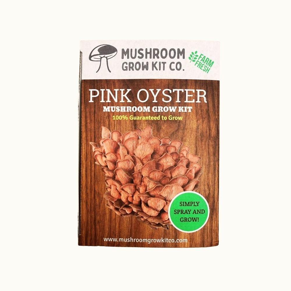 Pink Oyster Mushroom Growing Kit - 5 LBS Spray and Grow