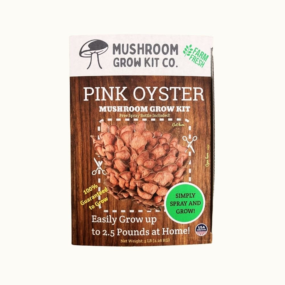 Pink Oyster Mushroom Growing Kit - 5 LBS Spray and Grow
